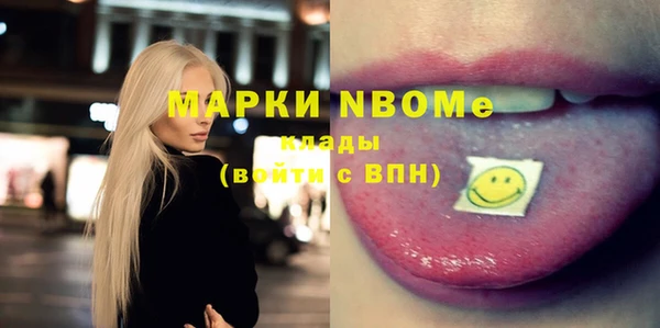 крисы Новозыбков
