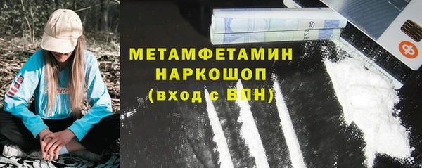 крисы Новозыбков