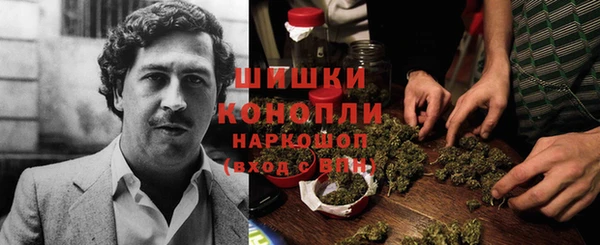 крисы Новозыбков