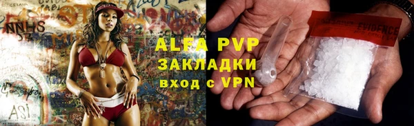 молекула духа Новодвинск