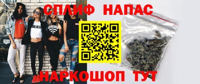 индика Гусиноозёрск