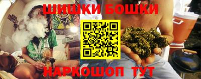 индика Гусиноозёрск