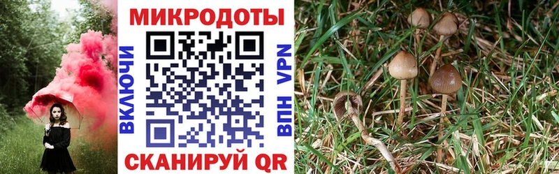Псилоцибиновые грибы MAGIC MUSHROOMS  Знаменск 