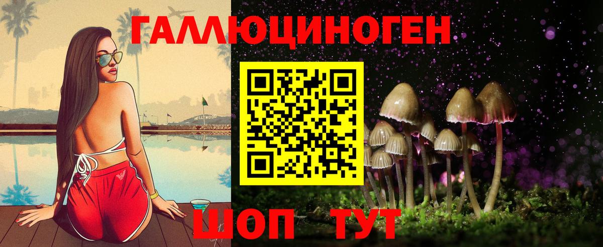Знаменск  Псилоцибиновые грибы Magic Shrooms  Вход с VPN 